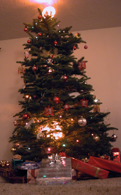 The Christmas tree (not yet submerged under presents)