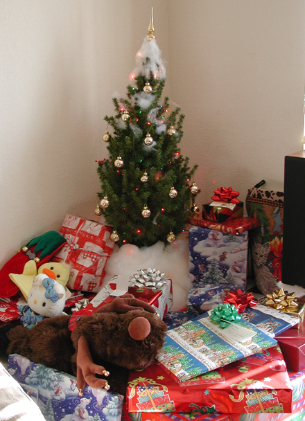 Christmas Morning: A decorated tree