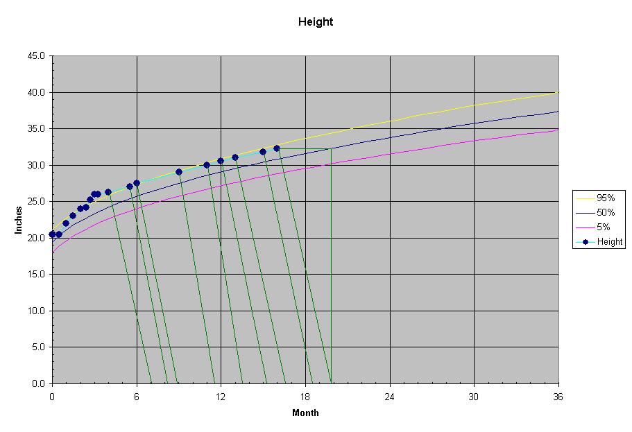 Maya's Height Chart
